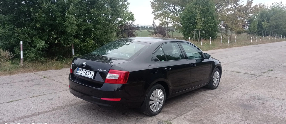 Skoda Octavia cena 34200 przebieg: 238000, rok produkcji 2013 z Warszawa małe 79